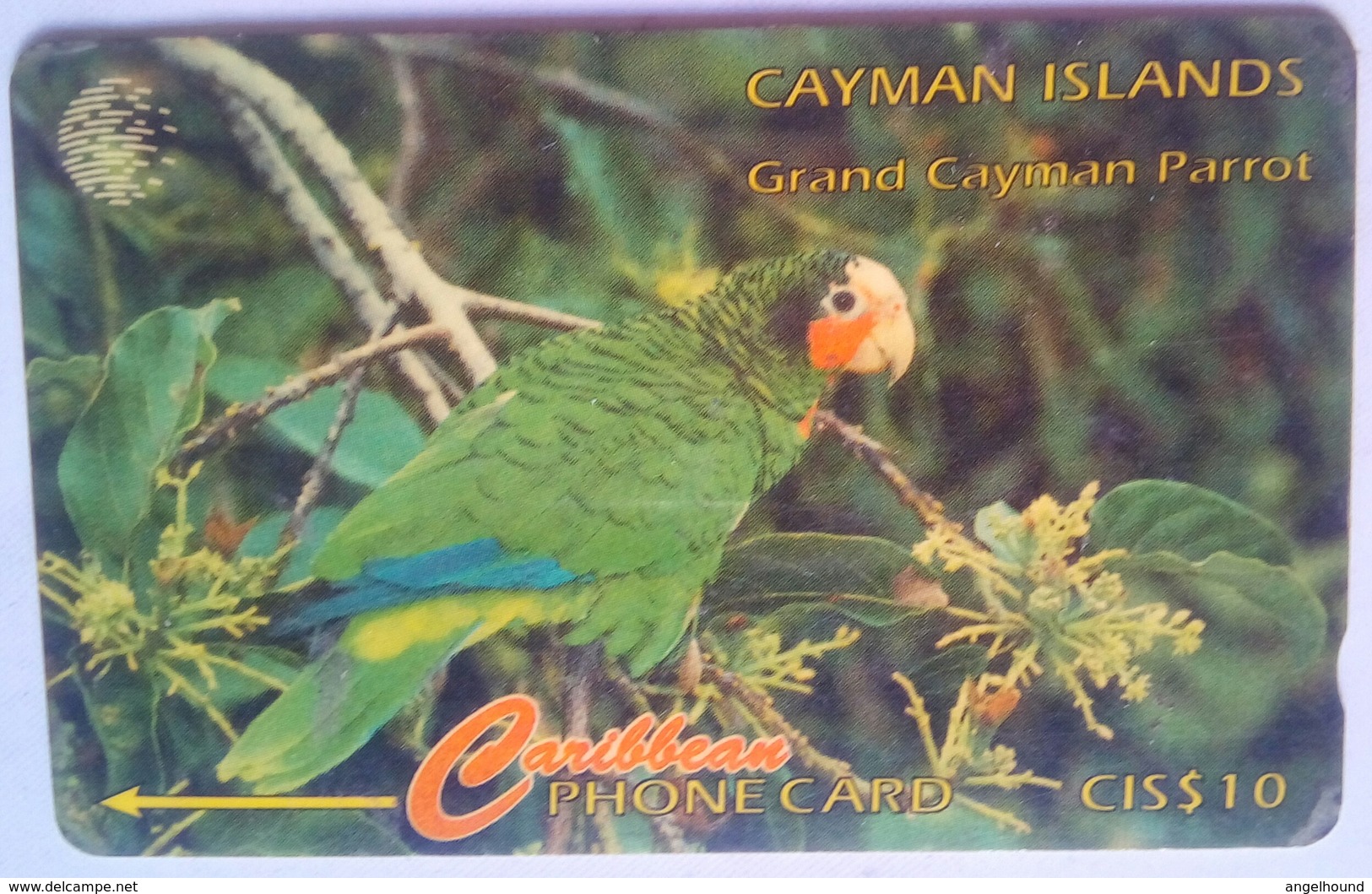 Cayman Islands 11CCIB $10 Parrot - Isole Caiman