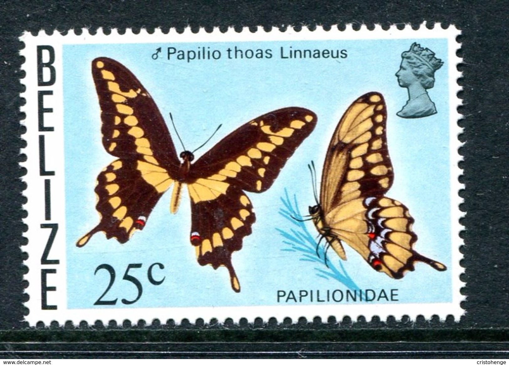 Belize 1975-77 Butterflies - 1st Wmk Upright - 25c Value MNH (SG 428) - Belize (1973-...)