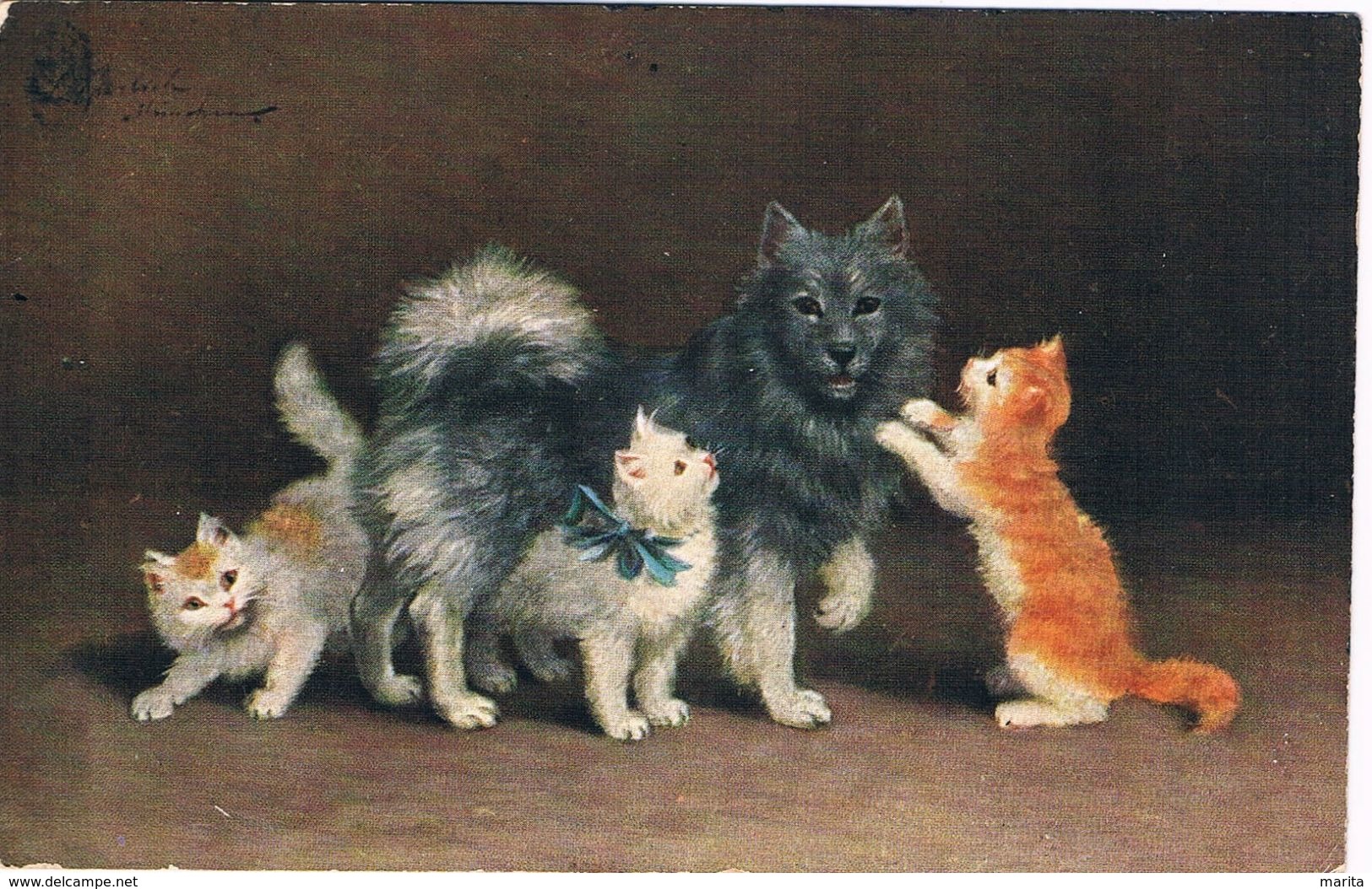 3 Chats Et Chien  -cats Dog- Poesjes Hond  -katzen -Sperlich - Chats