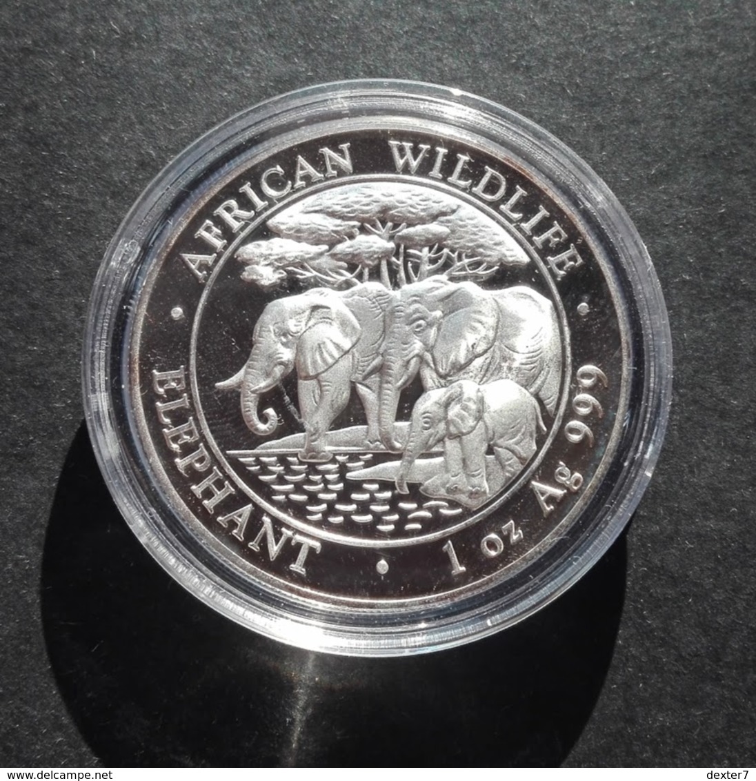 Somalia, Elephant 1 Oz 2013 Silver 999 Pure - 1 Oncia Argento Puro Bullion Elefante - Somalië