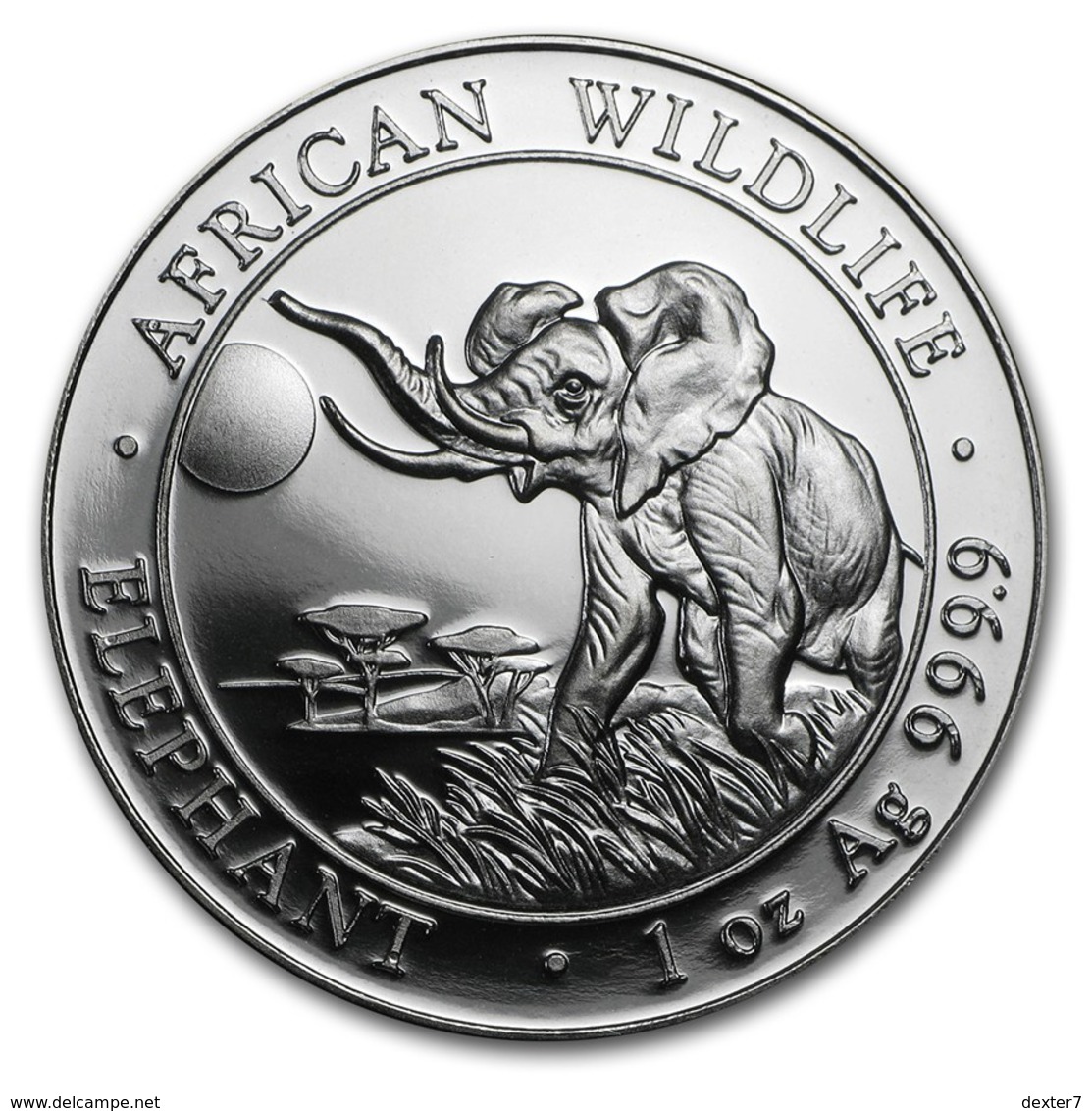 Somalia, Elephant 1 Oz 2016 Silver 999 Pure - 1 Oncia Argento Puro Bullion Elefante - Somalie