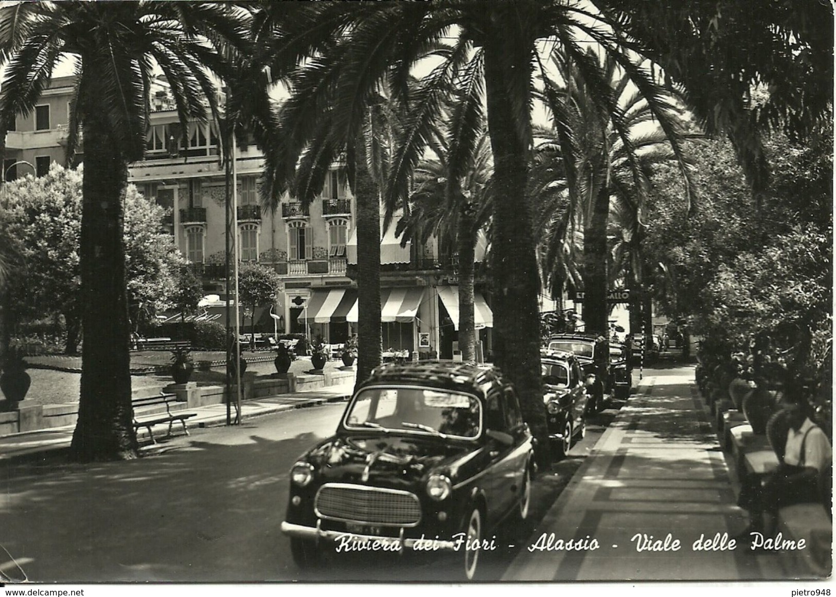 Alassio (Savona, Liguria) Viale Delle Palme, Allée Des Palmes, Palms Alley, Auto D'Epoca, Cars, Voitures - Savona