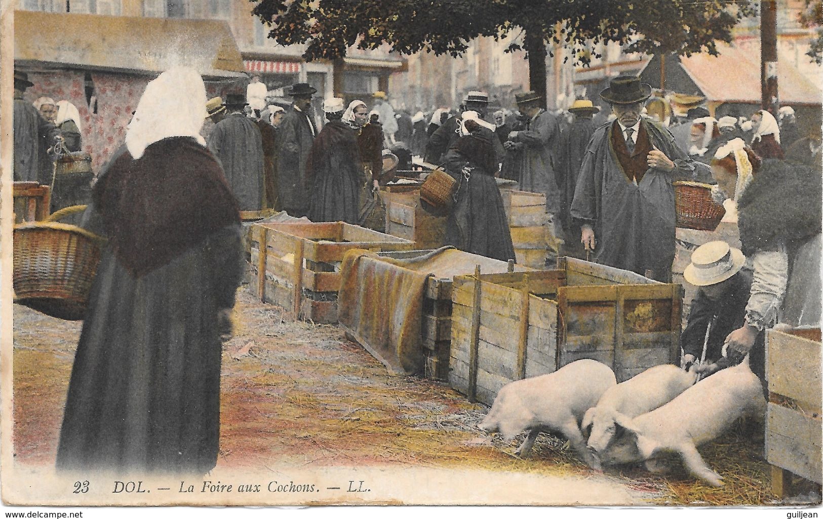 35 -  DOL - La Foire Aux Cochons - Colorisée - Gros Plan - N° 23 - LL - Dol De Bretagne