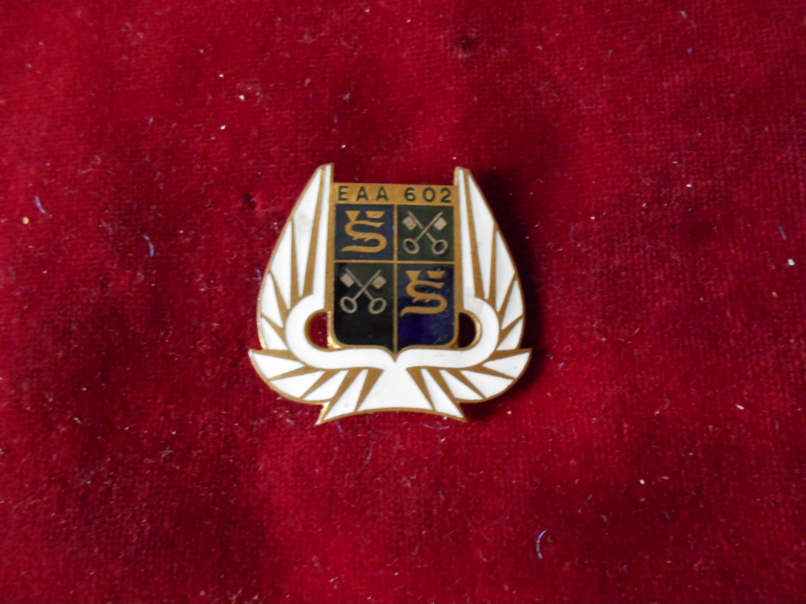 INSIGNE ARMEE DE L AIR EAA 602 FAB DP - Armée De Terre