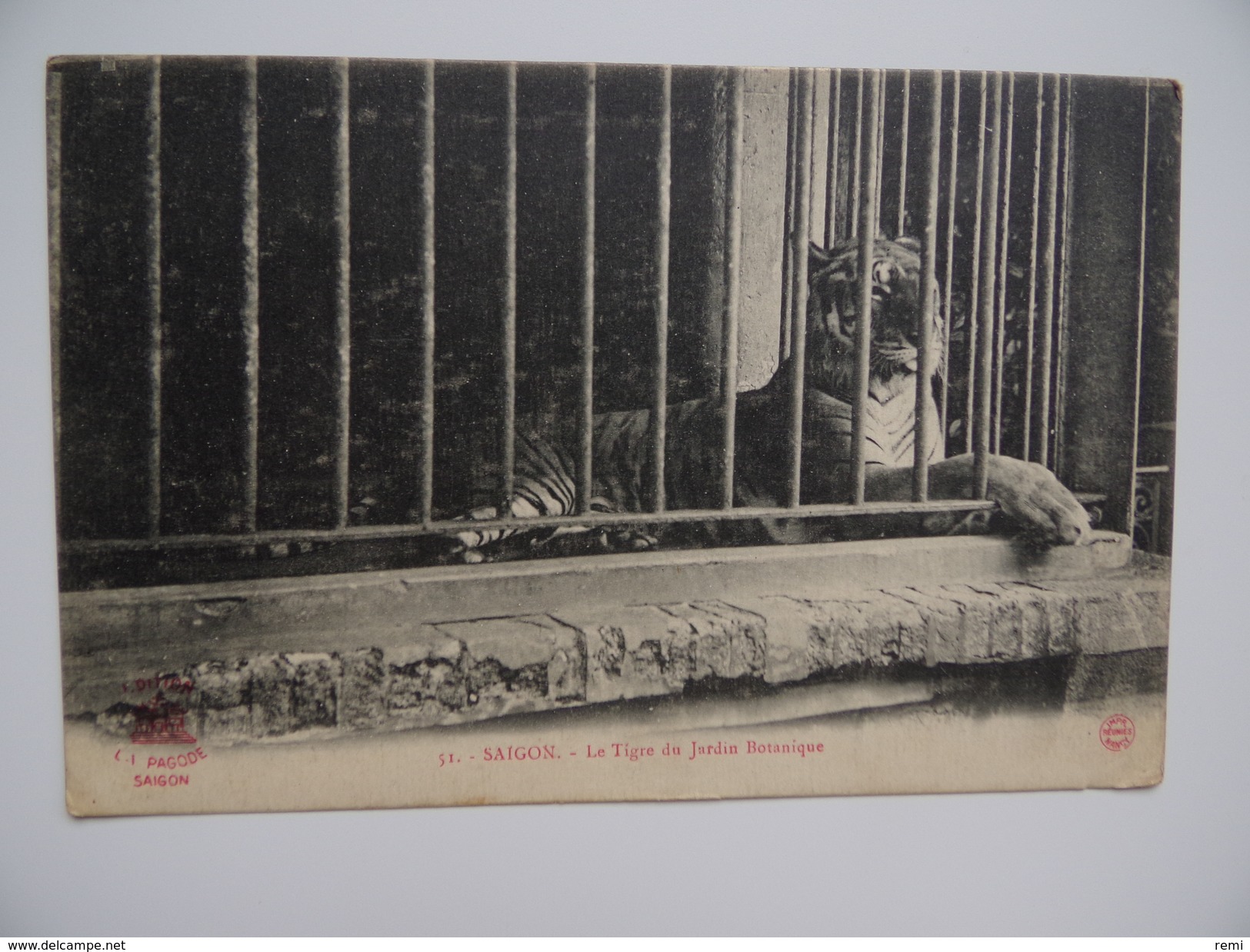 SAÎGON Théâtre Cathédrale Beauté Japonaise Femme Tigre Jardin Botanique Zoo Lot De 4 Cartes Postales - Viêt-Nam