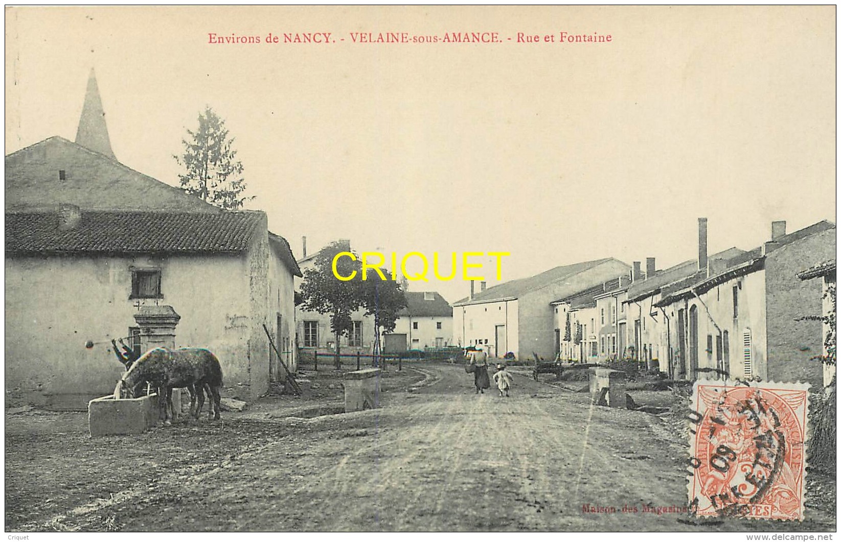 54 Velaine Sous Amance, Rue Et Fontaine, Cheval Qui S'abreuve...., Affranchie 1909 - Autres & Non Classés