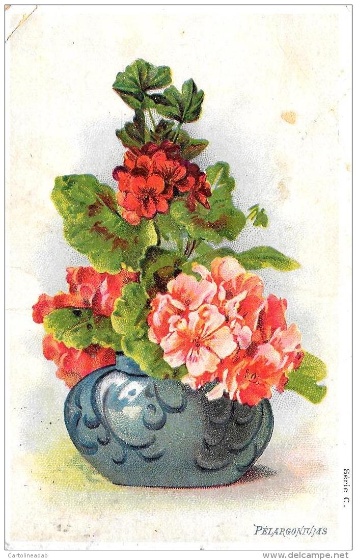 [DC10794] CPA - FIORI - Viaggiata 1905 - Old Postcard - Fiori