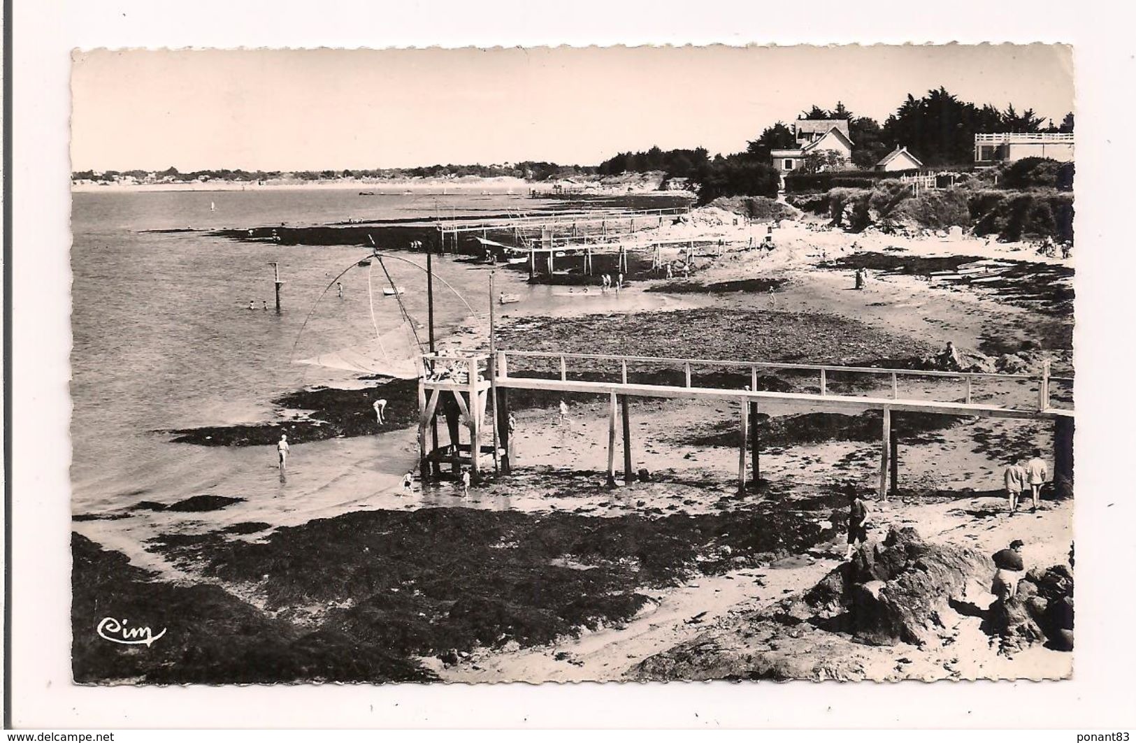 La Plaine Sur Mer : Le Port Giraud - Les Pêcheries - 1959 - - La-Plaine-sur-Mer