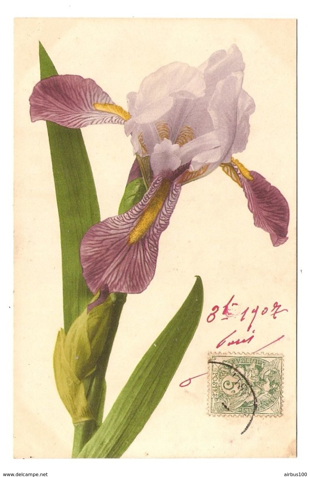 CPA FANTAISIE FLEUR IRIS - ÉDITION MARTIN ROMMEL N° 583 - 1906 - 2 Scans - Fiori