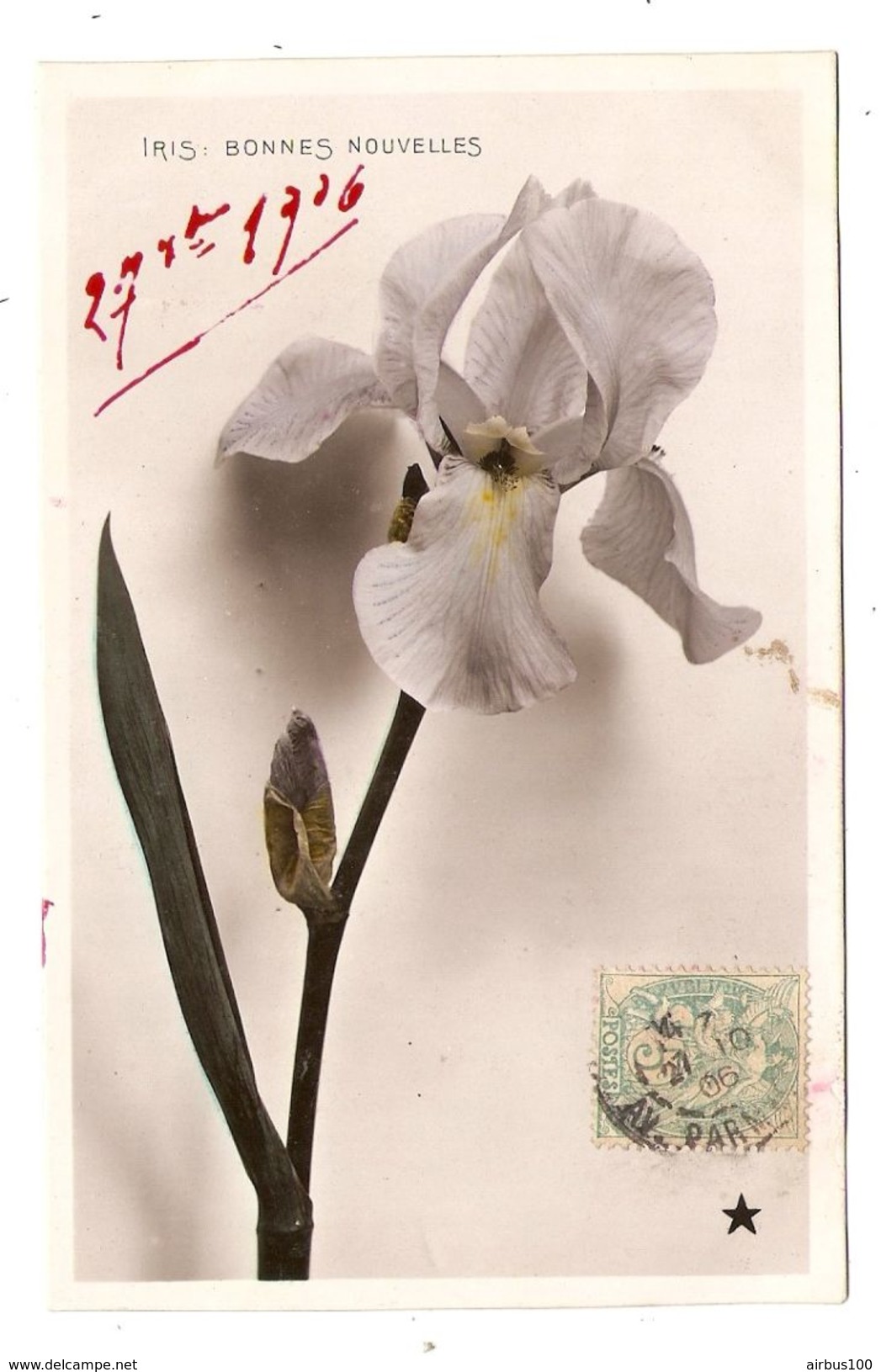 CPA FANTAISIE FLEUR IRIS BONNES NOUVELLES - ÉDITION ÉTOILE PARIS VBC SÉRIE N° 3086 - 1906 - 2 Scans - Fiori