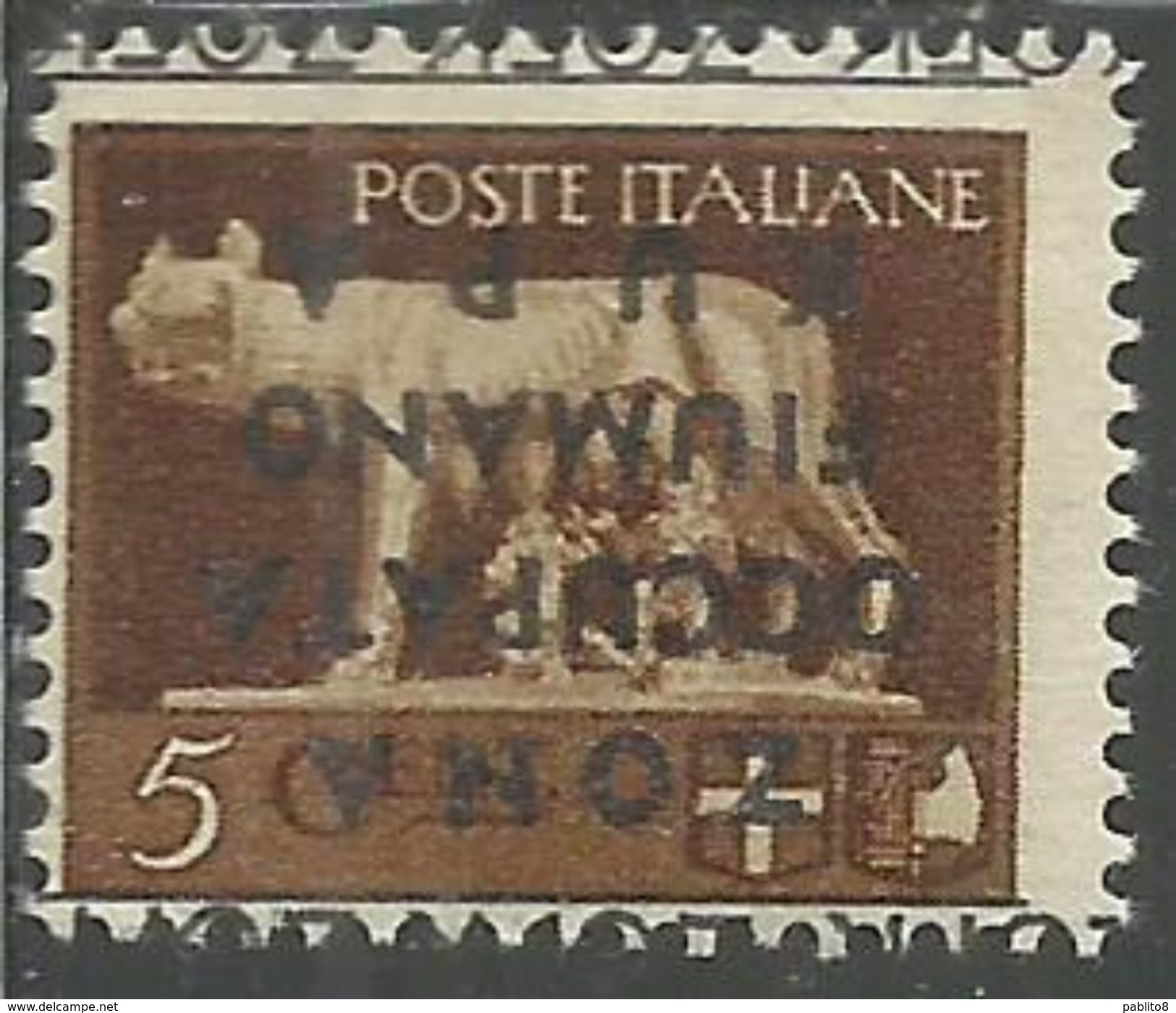 ZONA FIUMANO KUPA 1941 SOPRASTAMPATO D'ITALIA ITALY OVERPRINTED CENT. 5 MNH VARIETA' VARIETY CERTIFICATO - Fiume & Kupa