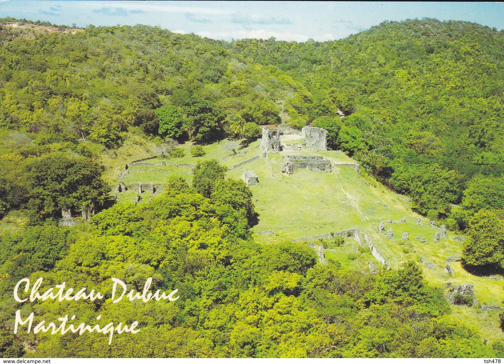 MARTINIQUE---RARE---le Château DUBUC---voir 2 Scans - La Trinite