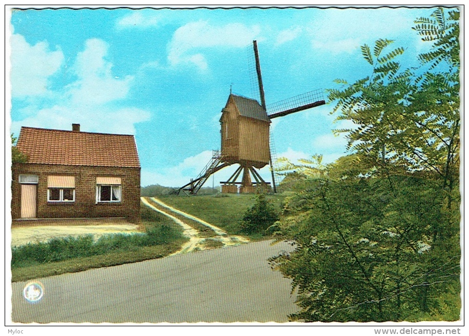 Keerbergen. De Molen/Le Moulin. - Keerbergen