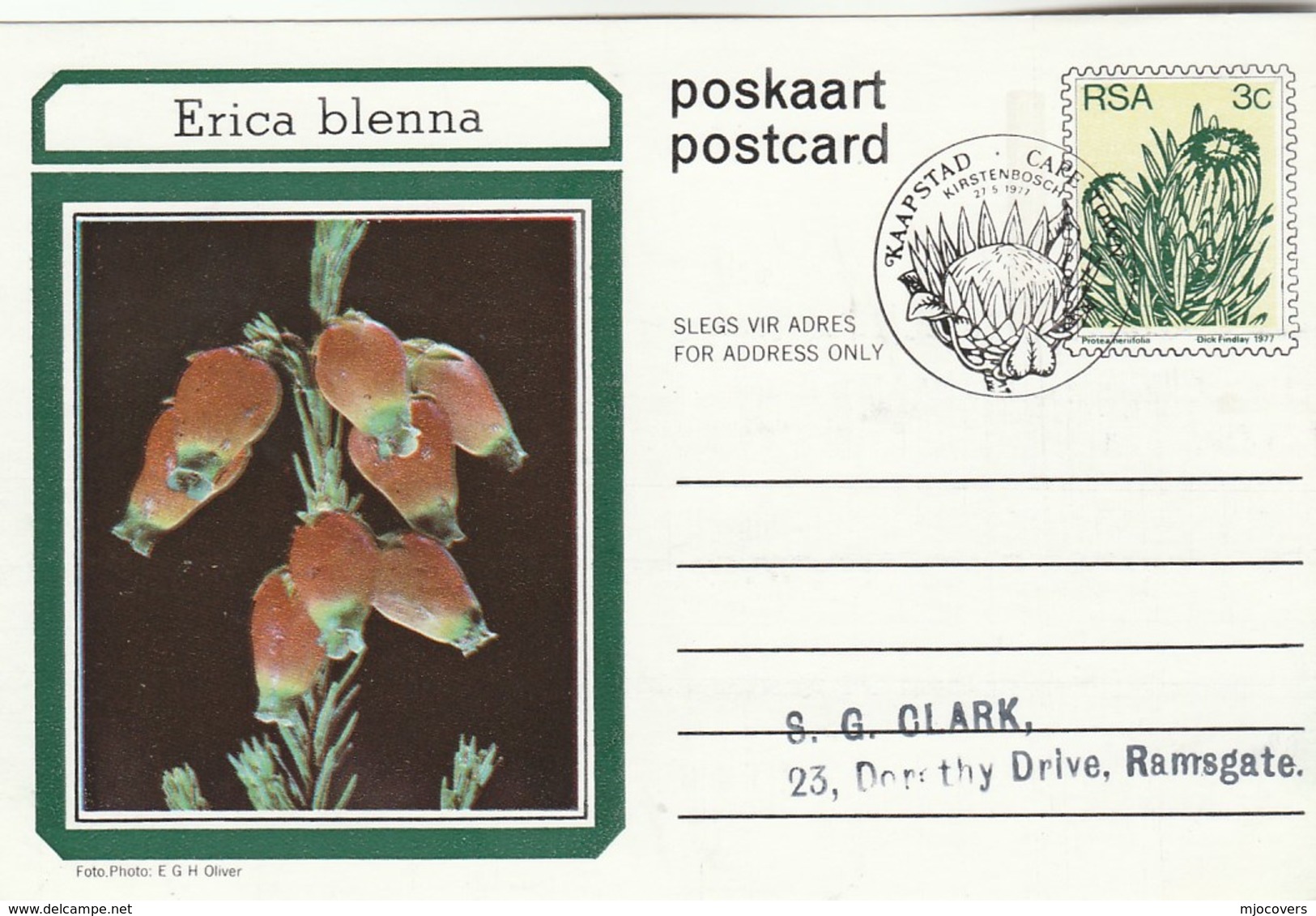 First Day 3c SOUTH AFRICA Postal STATIONERY CARD Illus ERICA BLENNA FLOWER Cover Stamps Flowers Rsa - Covers & Documents