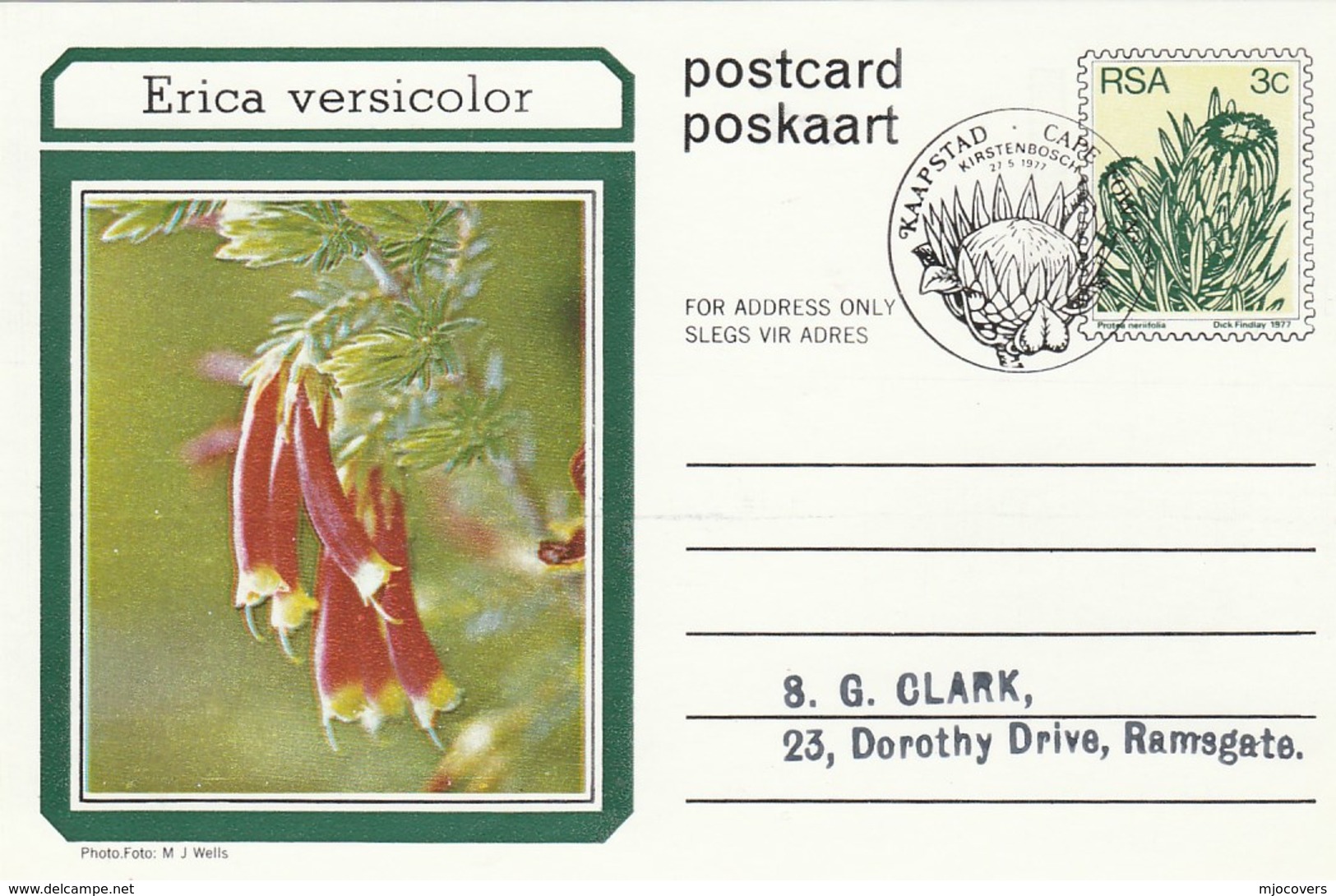 First Day 3c SOUTH AFRICA Postal STATIONERY CARD Illus ERICA VERSICOLOR FLOWER Cover Stamps Flowers Rsa - Brieven En Documenten