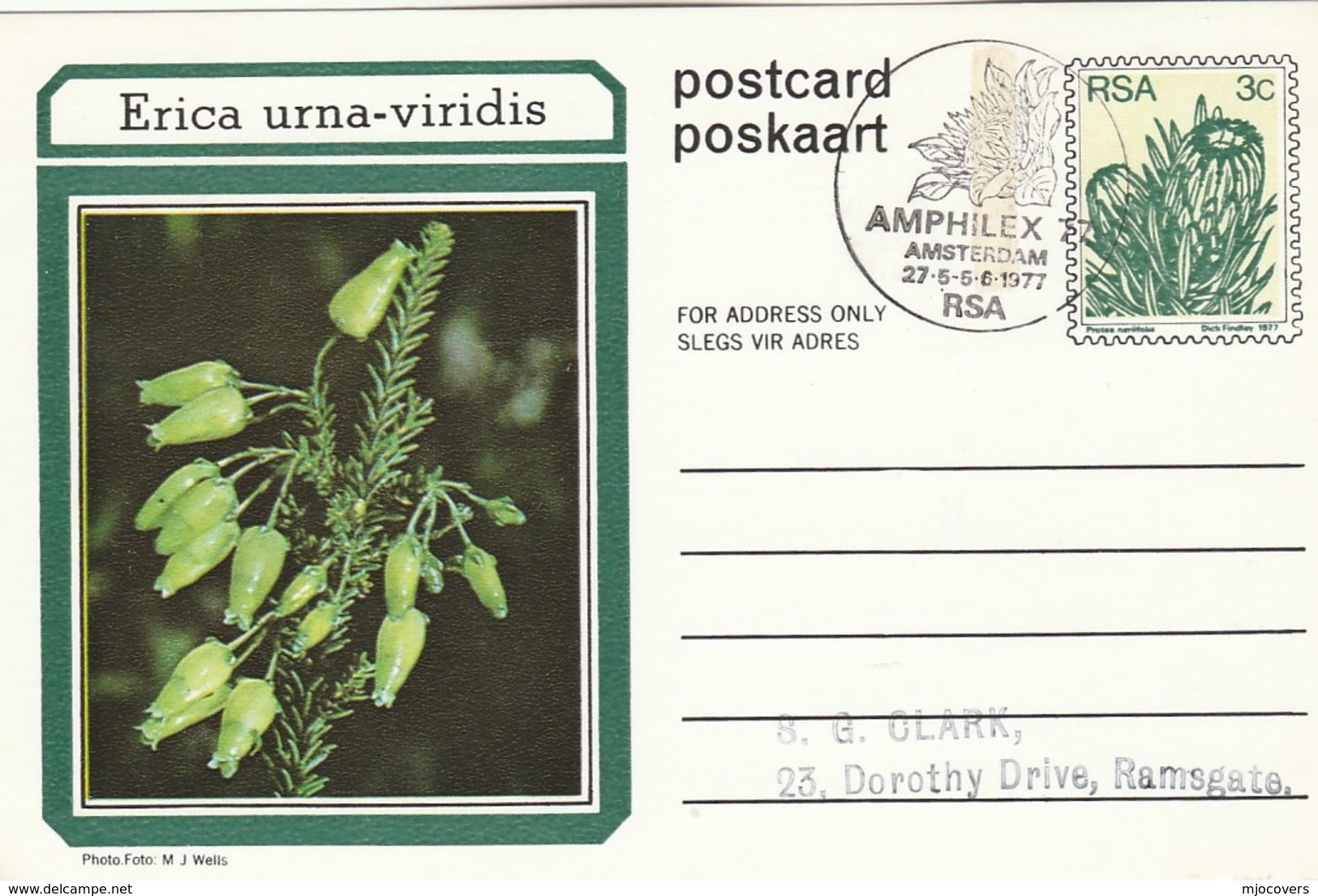 AMPHILEX Amsterdam First Day SOUTH AFRICA Postal STATIONERY CARD Illus ERICA URNA VIRIDIS FLOWER Cover Stamp Flowers Rsa - Briefe U. Dokumente