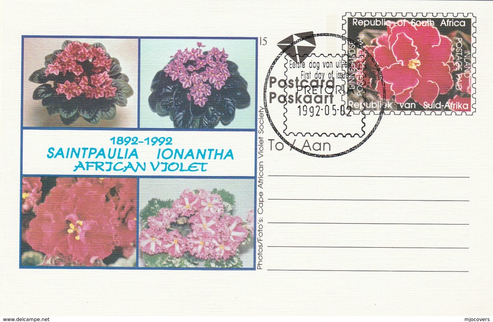 First Day SOUTH AFRICA Postal STATIONERY CARD Illus AFRICAN VIOLET  FLOWER Cover Stamp Flowers Roses Rsa - Covers & Documents