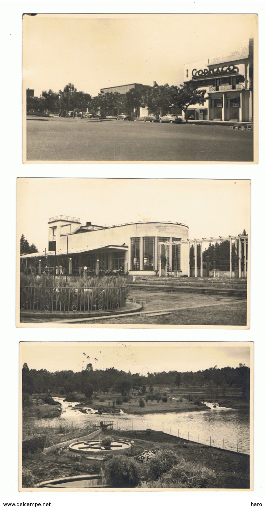 Lot De 3 Photos Cartes - Congo Belge -Parc, Jardin, " COPILCO " (b214 ) A SITUER - Autres & Non Classés