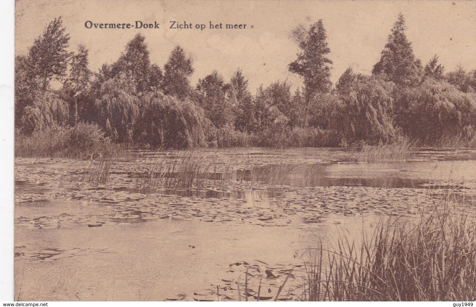 OVERMERE DONCK   ZICHT OP HET MEER - Berlare