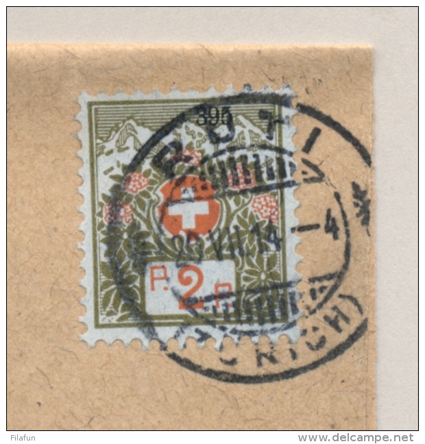 Schweiz - 1914 - 2 Cent Portofreiheidsmarke  On Local Wrapper Ruti - Vrijstelling Van Portkosten