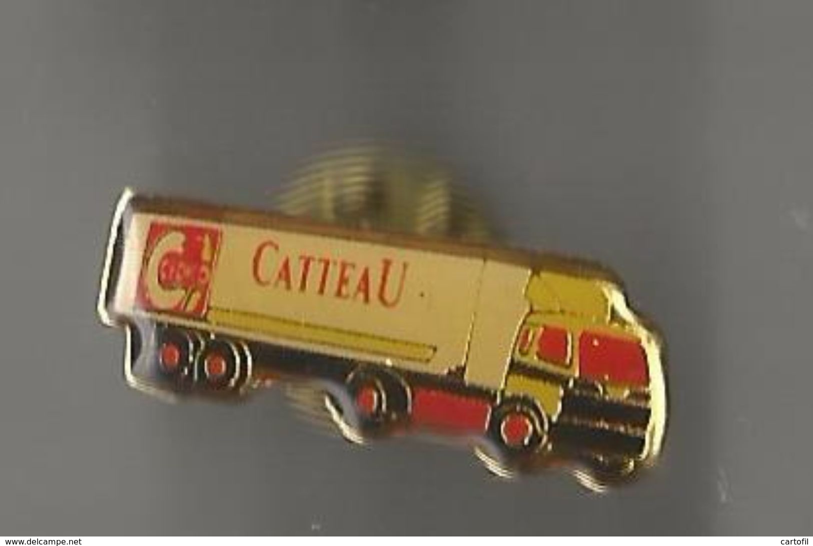 Pin's Transports Catteau - Transport Und Verkehr