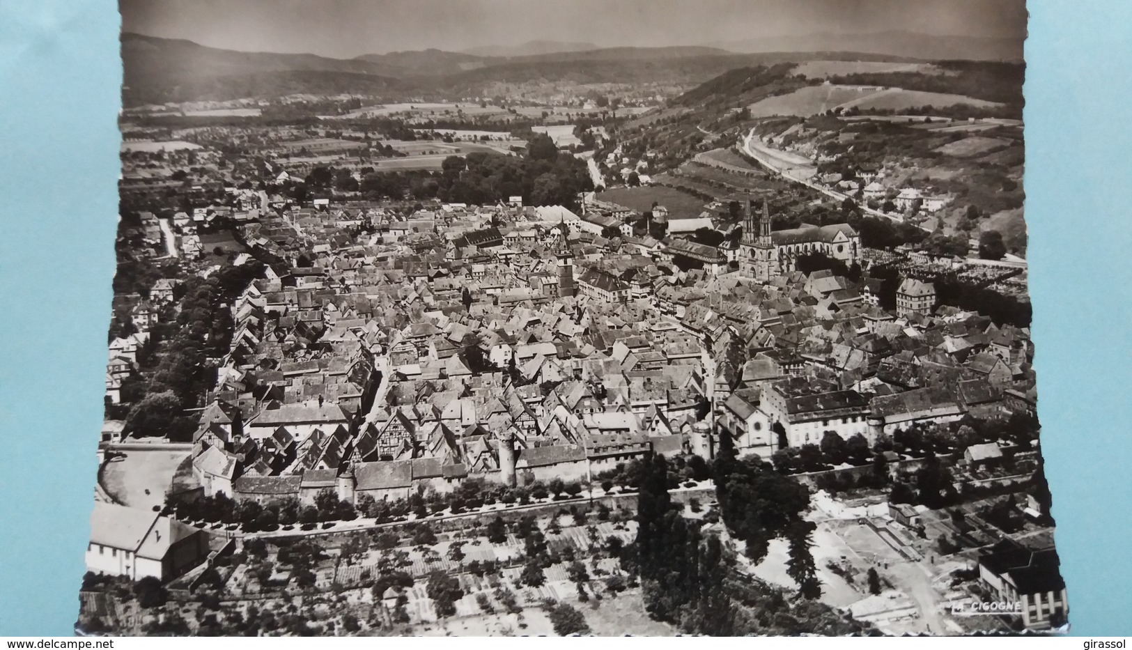 CPSM OBERNAI VUE AERIENNE ED LA CIGOGNE - Obernai