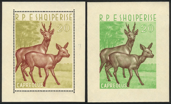 ALBANIA Sc.643, 1962 20l. Deer, Perforated And Imperforate Sheets, MNH, Excellen - Albanië