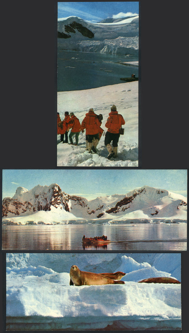 ARGENTINE ANTARCTICA 3 Postcards With Nice Views, Unused, VF Quality! - Argentina