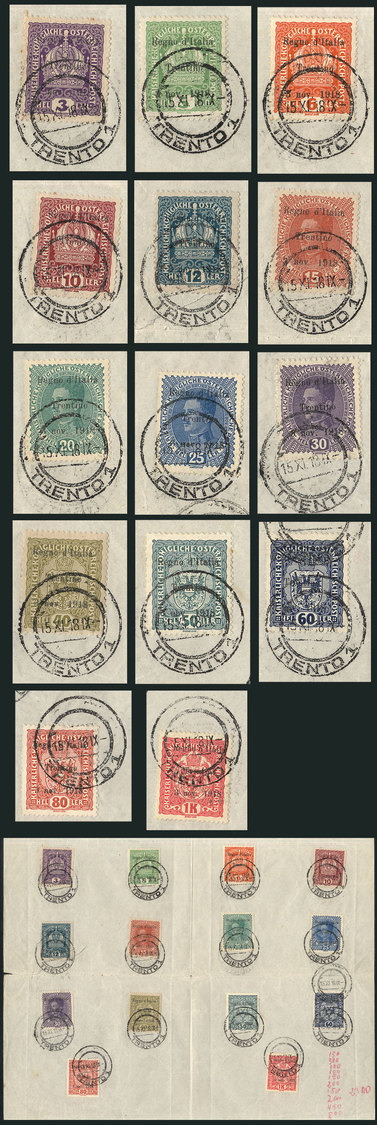 ITALY - TRENTINO "Sc.N33/N45 + N47, 1918 14 Values Of The Set Glued To A Page Ca - Autres & Non Classés