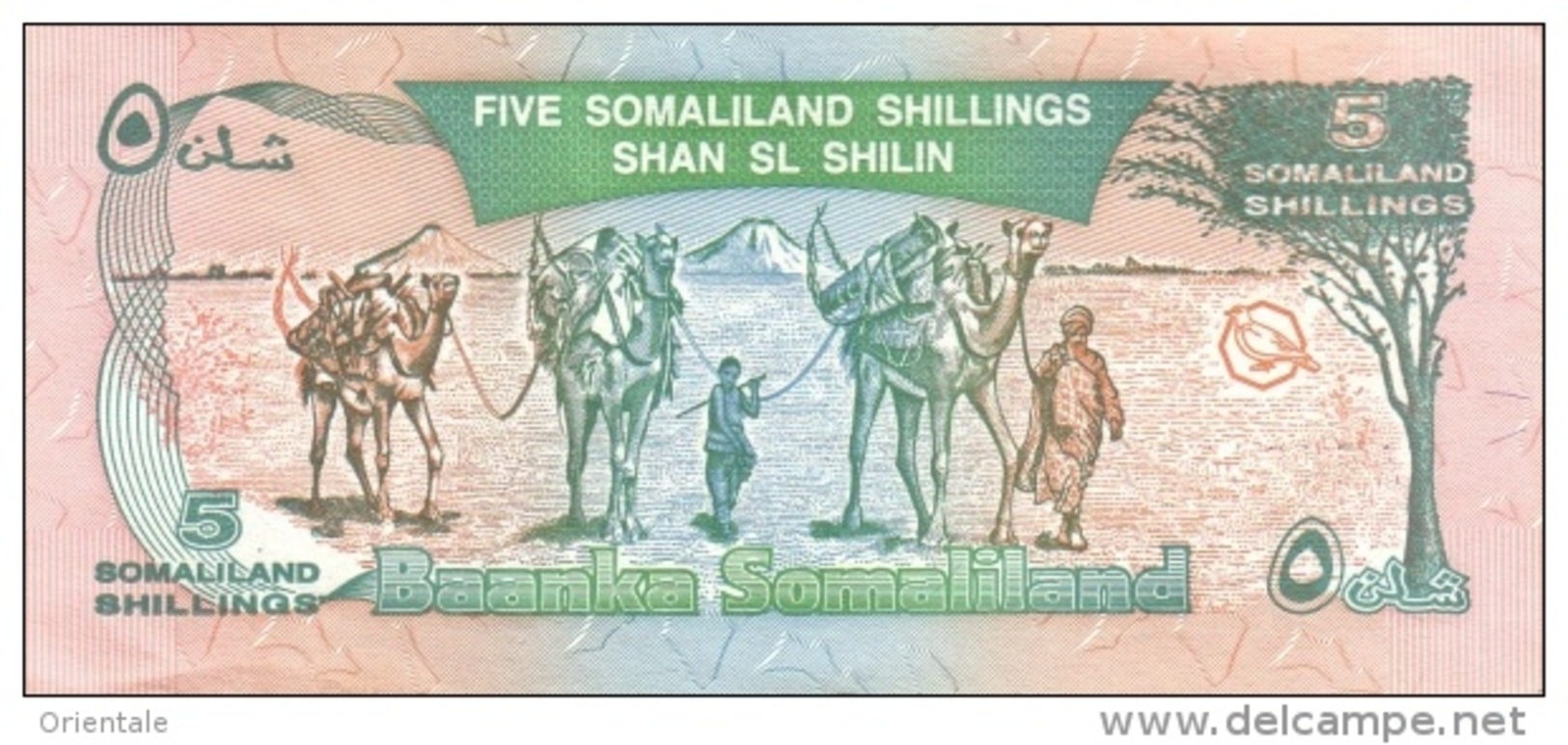 SOMALILAND P.  1a 5 S 1994 UNC - Altri – Africa