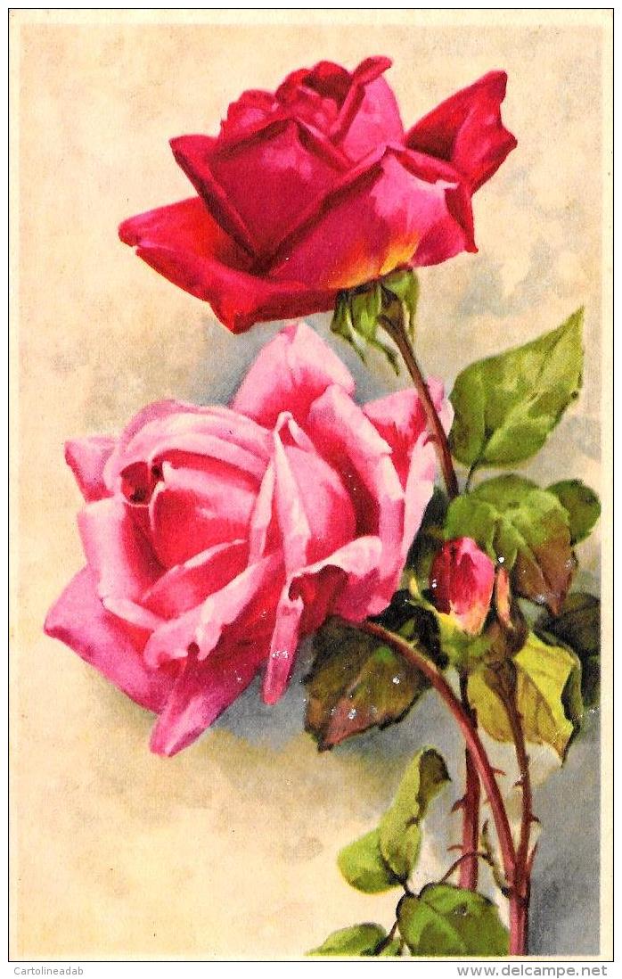 [DC10816] CPA - FIORI - ROSE - Non Viaggiata - Old Postcard - Fiori