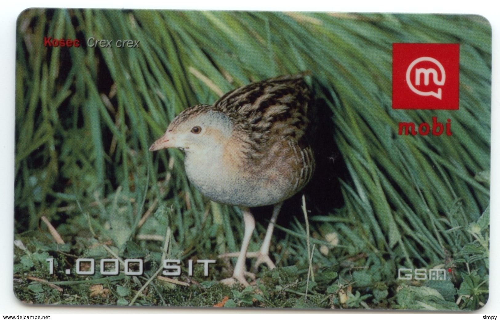 SLOVENIA  Bird Kosec Crex Crex Valid 31.12.2001 Mobil Prepaid Card - Uccelli Canterini Ed Arboricoli