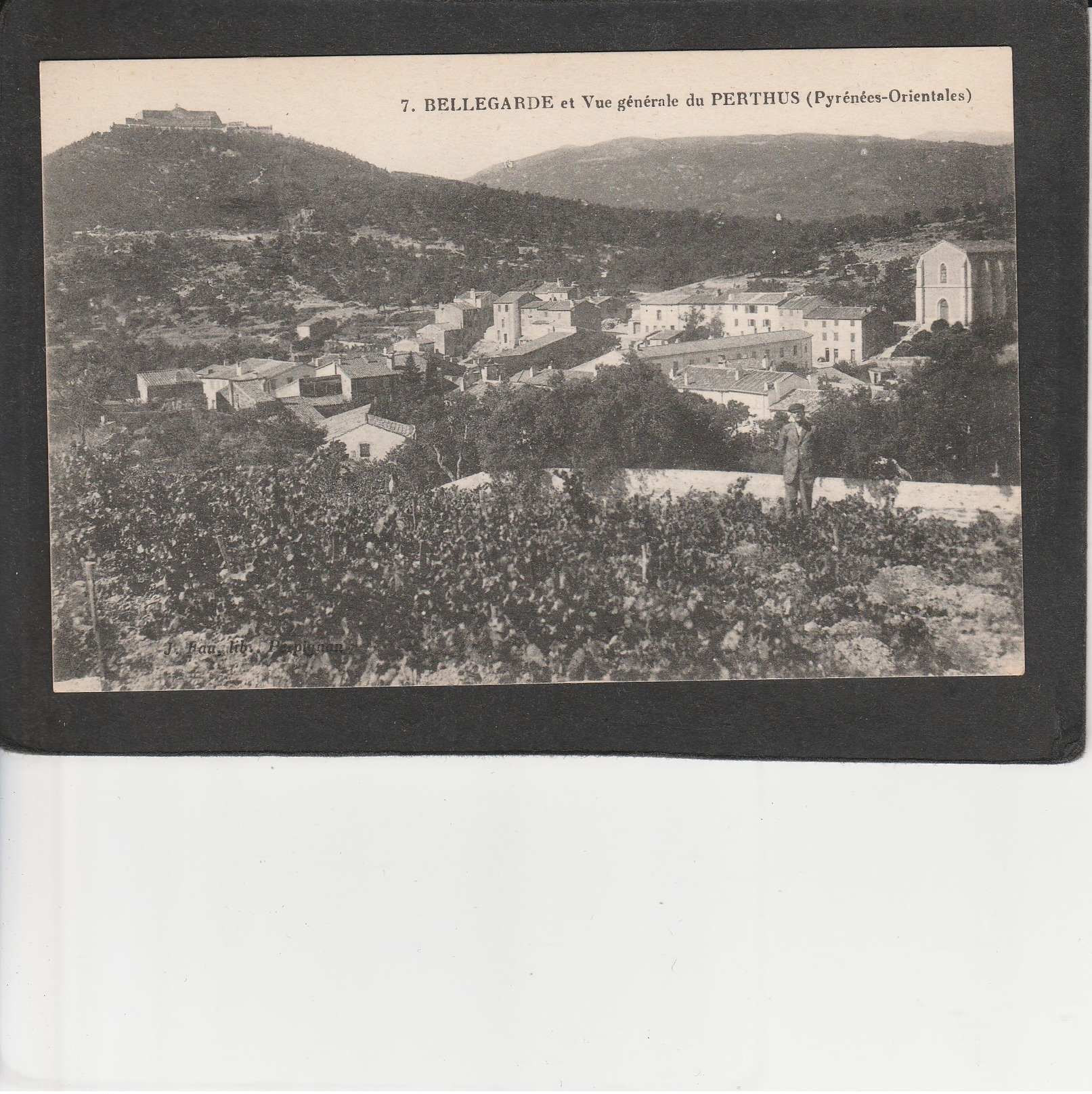 66  PYRENEES ORIENTALES  - Lot De 12 Cartes (à Voir 12  Scans) - Autres & Non Classés