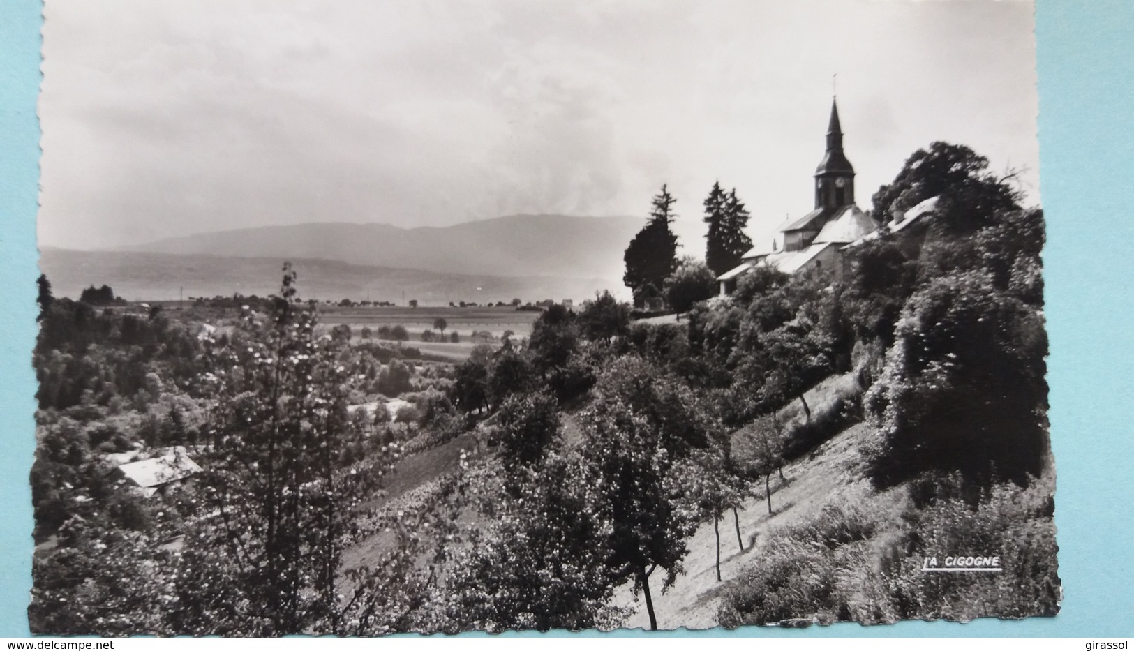 CPSM BONNE SUR MENOGE HTE SAVOIE L EGLISE ST NICOLAS ET LE MONT SALEVE ED LA CIGOGNE - Bonne