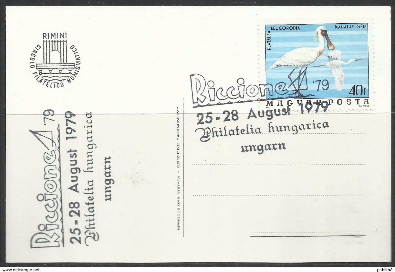 HUNGARY UNGHERIA RICCIONE 1979 XXXI FIERA INTERNAZIONALE DEL FRANCOBOLLO CARTOLINA POST CARD ANNULLO SPECIALE - Borse E Saloni Del Collezionismo