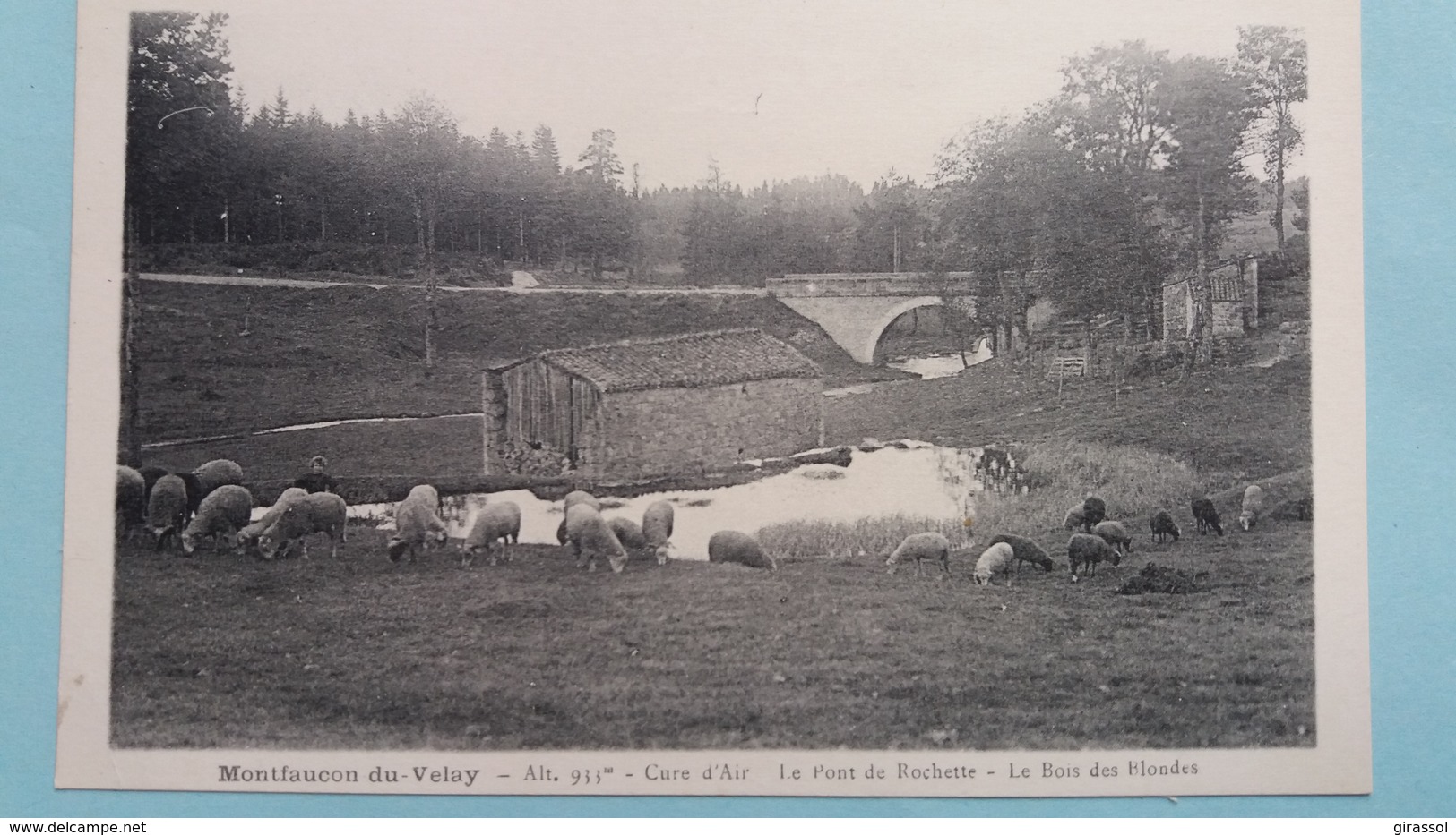 CPA MONTFAUCON DU VELAY 43 LE PONT DE ROCHETTE LE BOIS DES BLONDES MOUTONS  ED CORNUT - Montfaucon En Velay