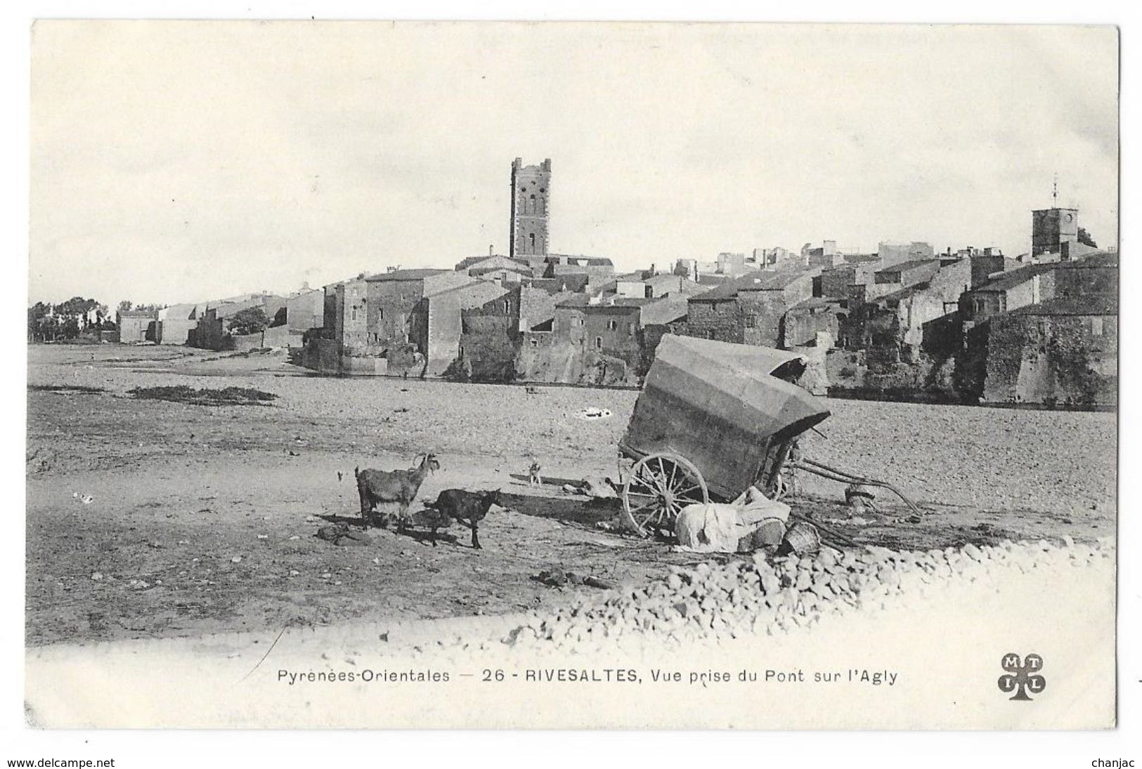 Cpa: 66 RIVESALTES (ar. Perpignan) Vue Prise Du Pont Sur L'Agly (Chèvres) N° 26 - Rivesaltes