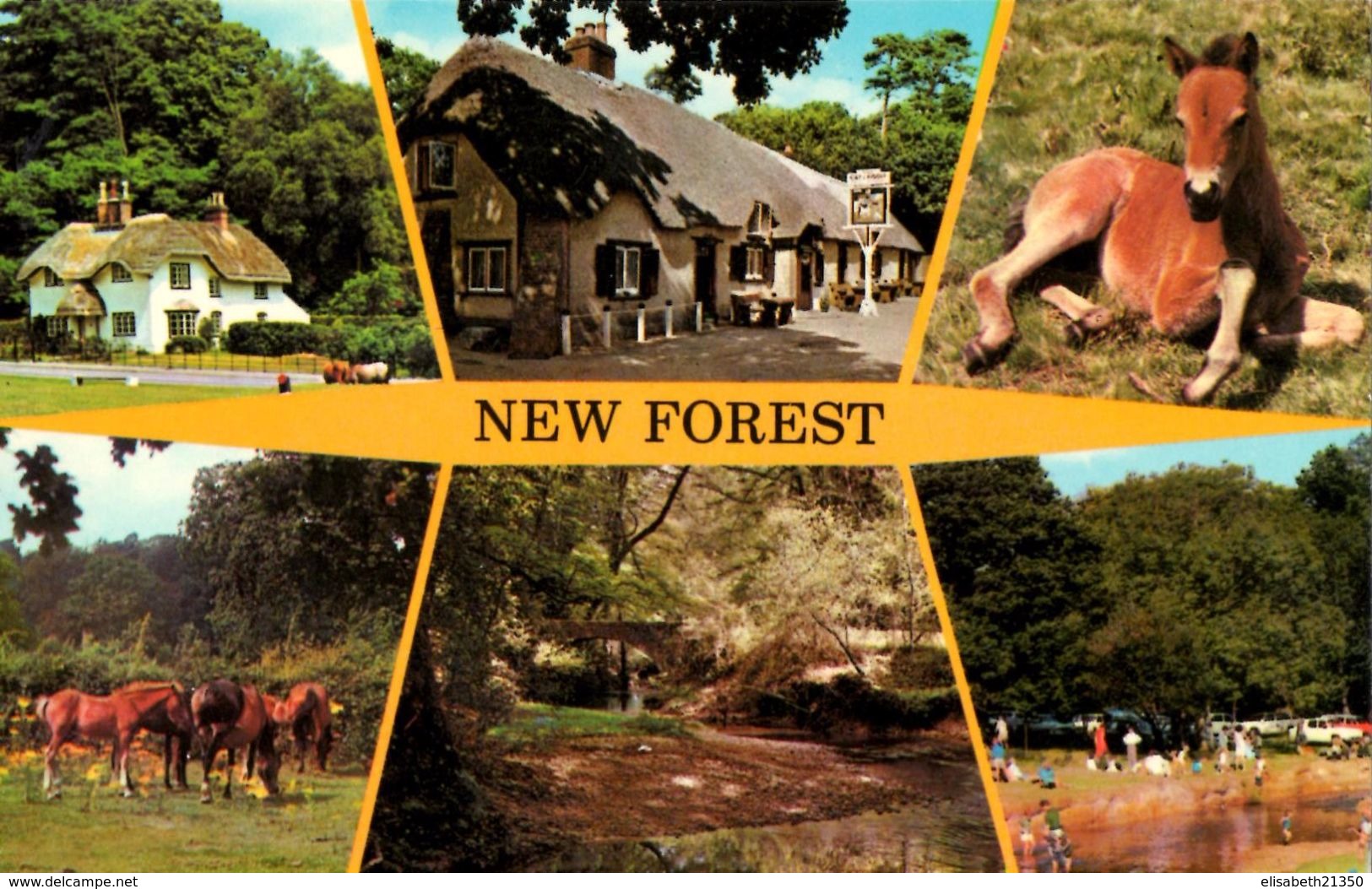 New Forest : Multivues - Autres & Non Classés