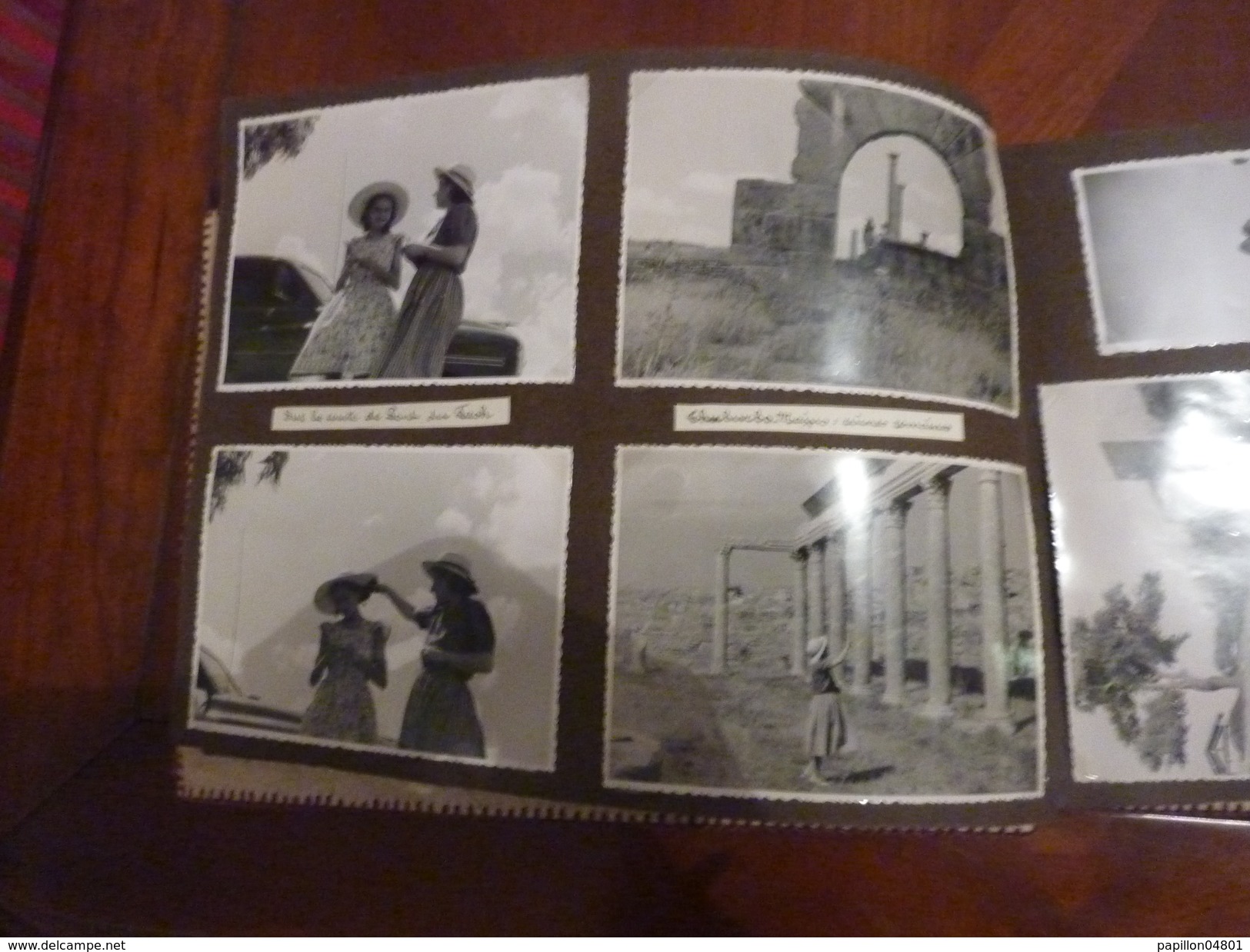 ALBUM PEAU DE CROCODILE 62 PHOTOS ORIGINALES ANNEE 1950 TUNISIE VOYAGES VIE QUOTIDIENNE