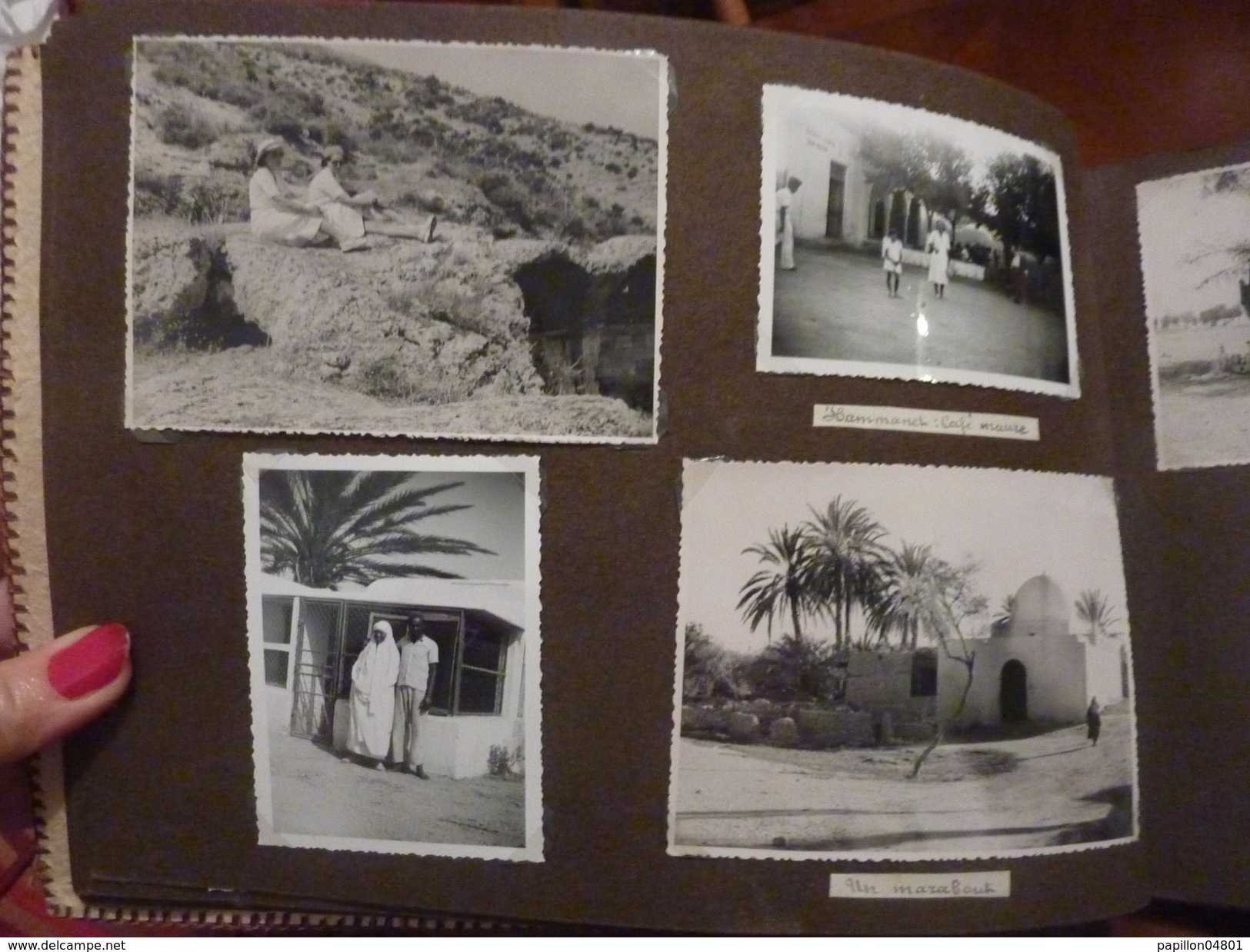 ALBUM PEAU DE CROCODILE 62 PHOTOS ORIGINALES ANNEE 1950 TUNISIE VOYAGES VIE QUOTIDIENNE