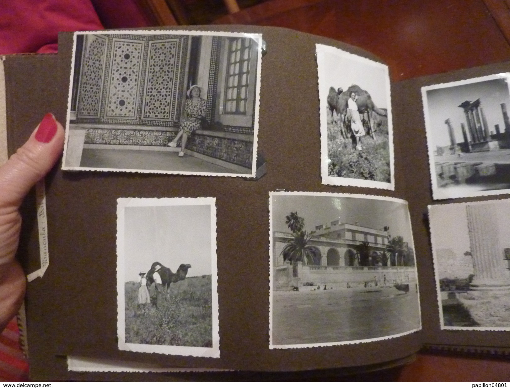 ALBUM PEAU DE CROCODILE 62 PHOTOS ORIGINALES ANNEE 1950 TUNISIE VOYAGES VIE QUOTIDIENNE