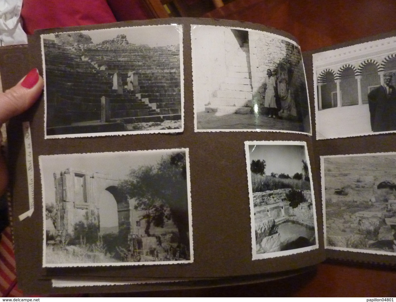 ALBUM PEAU DE CROCODILE 62 PHOTOS ORIGINALES ANNEE 1950 TUNISIE VOYAGES VIE QUOTIDIENNE