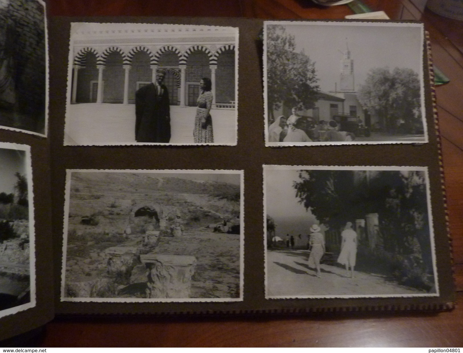 ALBUM PEAU DE CROCODILE 62 PHOTOS ORIGINALES ANNEE 1950 TUNISIE VOYAGES VIE QUOTIDIENNE