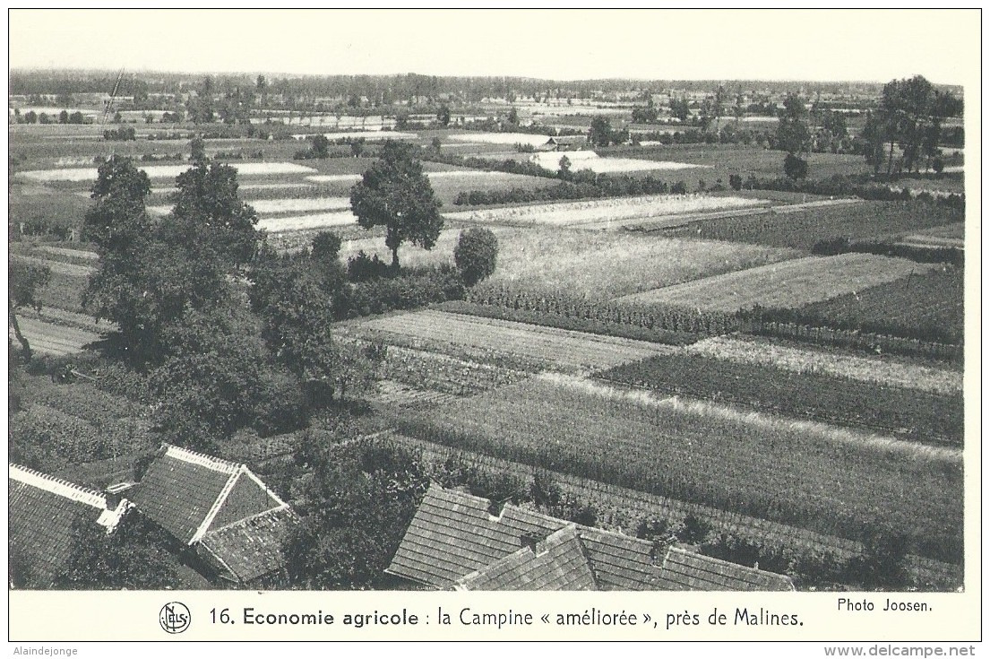 Les Paysages Belges 3e Série : La Campine Nels - Thill 16 Economie Agricole : La Campine "améliorée",près De Malines - Collections & Lots