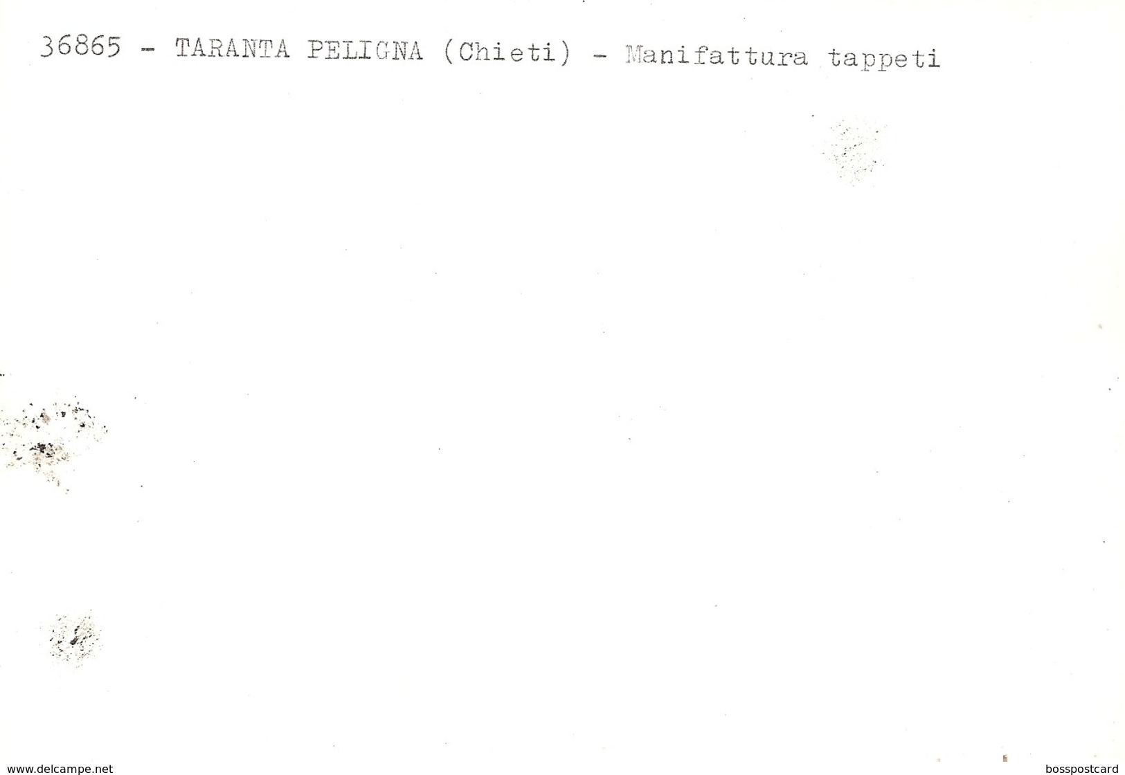 Taranta Peligna - REAL PHOTO (12,0 X 17,7 Cm) - Manifattura Tapetti - Costumi - Lacemakers - Lace - Chieti - Italy - Chieti
