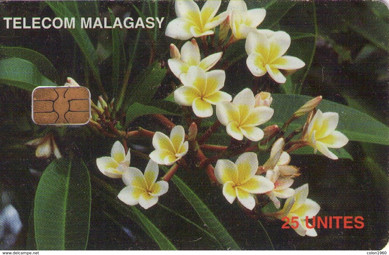 MADAGASCAR. MDG-47. Frangipanier Flowers. (012) - Madagascar