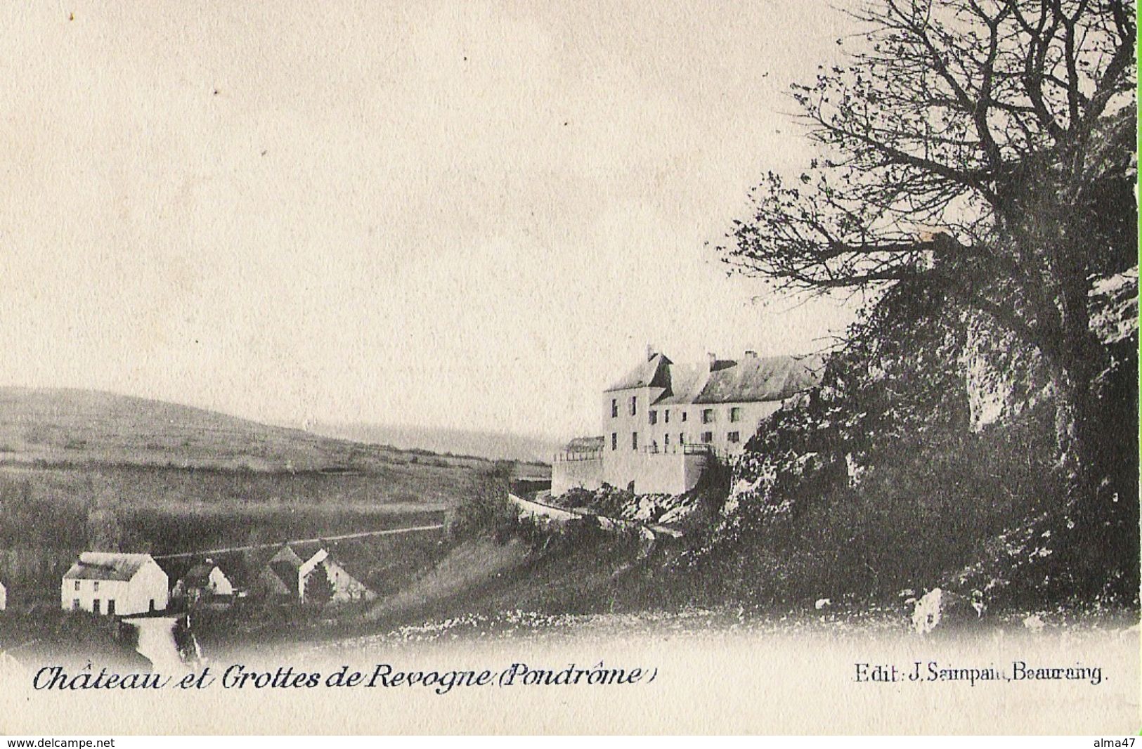 Revogne (Pondrôme) - Château Et Grottes - Circulé 1907 - Dos Simple - Edit. Seimpain, Beauraing - Beauraing
