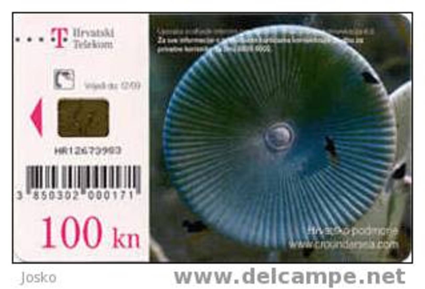 ACETABULARIA ACETABULUM - 100. Kuna ( Croatie Rare Card - High Value  ) Marine Life Undersea Underwater Sea Fish Poisson - Croatie