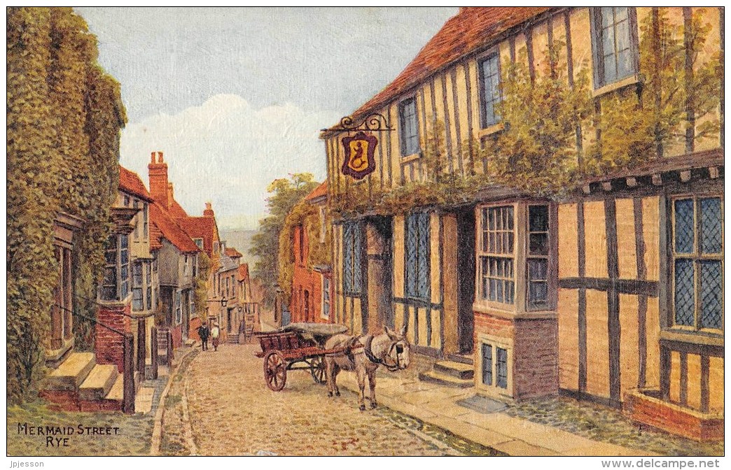 RYE  MERMAID STREET  CARTE EN RELIEF - Rye