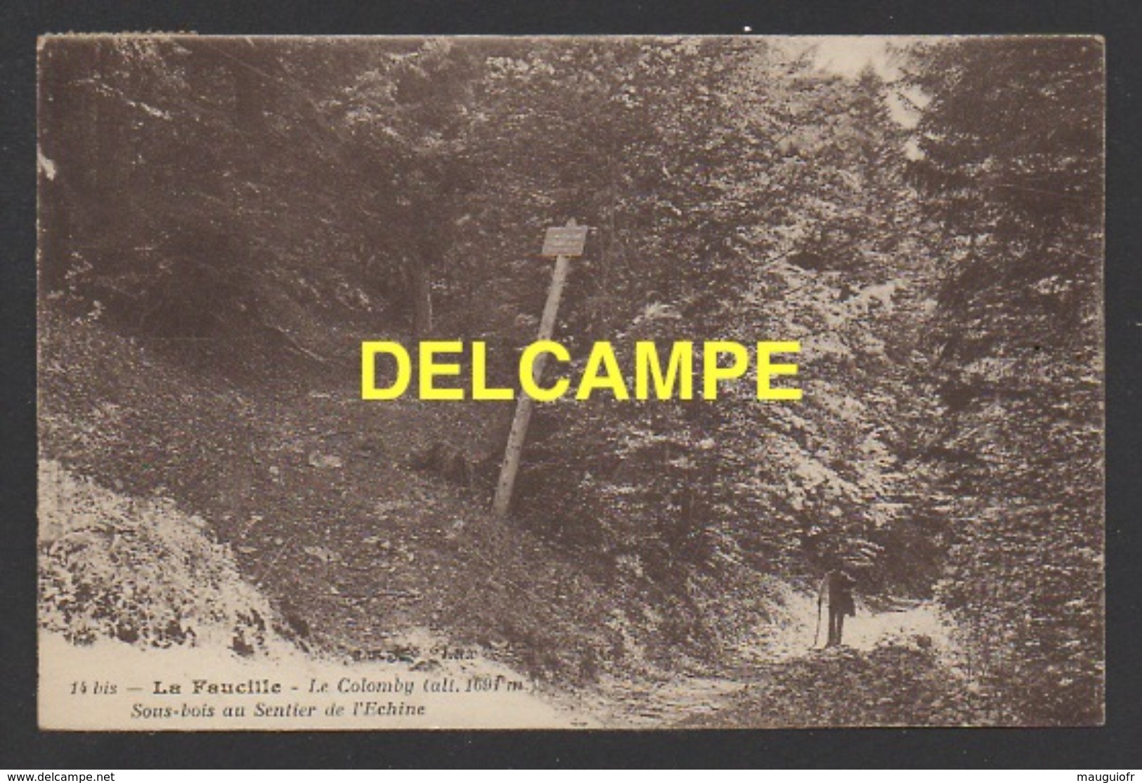 DD / 01 AIN / LA FAUCILLE / LE COLOMBY / SOUS-BOIS AU SENTIER DE L' ECHINE / PROMENEUR / CIRCULÉE EN 1928 - Unclassified